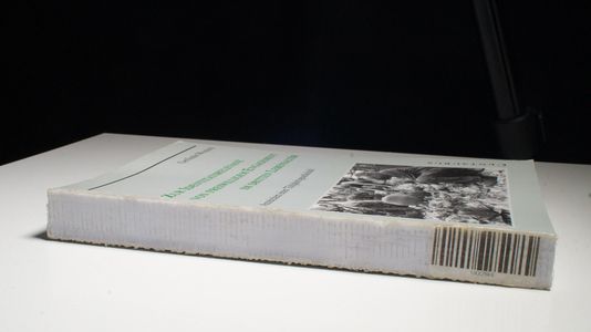 Zur Identitätsrelevanz von freiwilligem Engagement im dritten Lebensalter: Anzeichen einer Tätigkeitsgesellschaft? (Münchner Studien zur Kultur- und Sozialpsychologie, 15, Band 15)