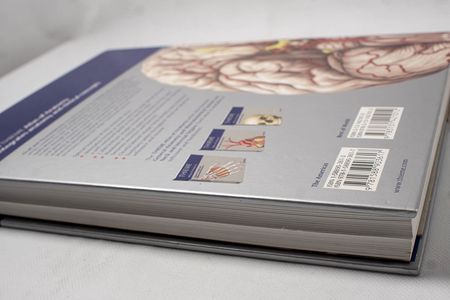 Head and Neuroanatomy (Thieme Atlas of...