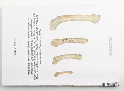 Morphologische und metrische Untersuch... Morphologische und metrische Untersuch...