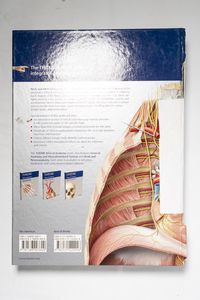 Neck and Internal Organs (Thieme Atlas...