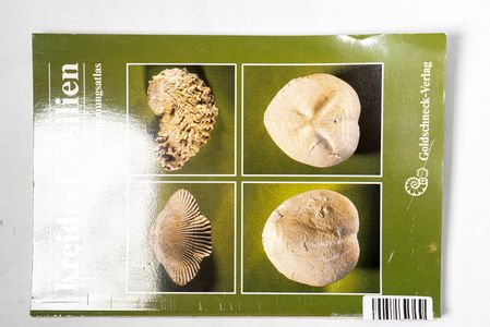 Kreidefossilien : Bestimmungsatlas der... Kreidefossilien : Bestimmungsatlas der...