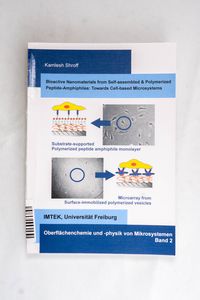 Bioactive Nanomaterials from Self-asse...