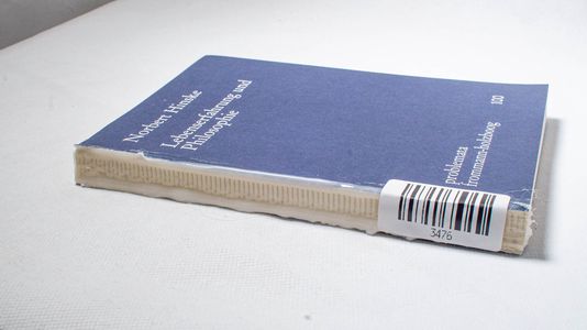Lebenserfahrung und Philosophie (probl... Lebenserfahrung und Philosophie (probl...