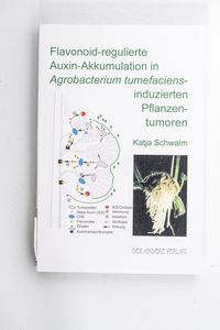 Flavonoid-regulierte Auxin-Akkumulatio...