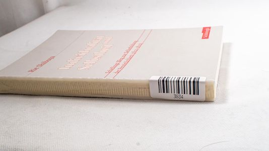 Individualität Und Selbstheit: Schelli... Individualität Und Selbstheit: Schelli...