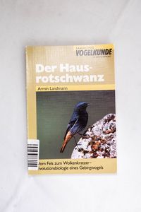 Der Hausrotschwanz: Vom Fels zum Wolke...