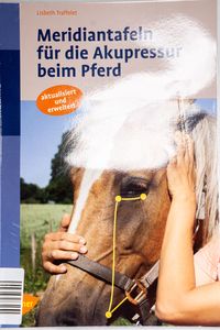 Meridiantafeln für die Akupressur beim... Meridiantafeln für die Akupressur beim...