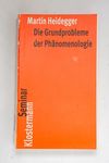 Die Grundprobleme der Phänomenologie