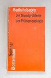 Die Grundprobleme der Phänomenologie