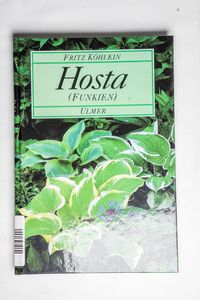 Hosta (Funkien) Fritz Köhlein - Köhlei...