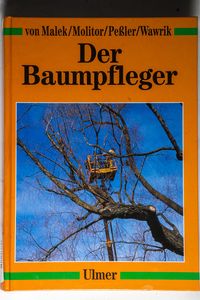 Der Baumpfleger - unbekannt