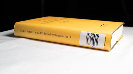 Naturrecht und Universalrechtsgeschichte - Johann Braun; Eduard Gans