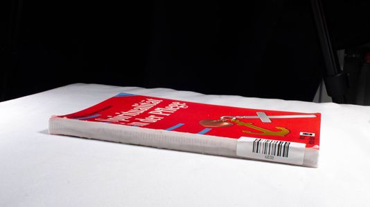 Spiritualität in der Pflege - Barnum, Barbara Stevens