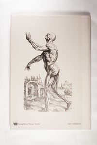 Anatomische Zeitalter: Die Anatomie der Renaissance von Leonardo Da Vinci bis Andreas Vesal - Vollmuth, Ralf