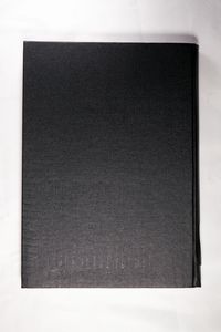Chinesische und mandjurische Handschriften und seltene Drucke