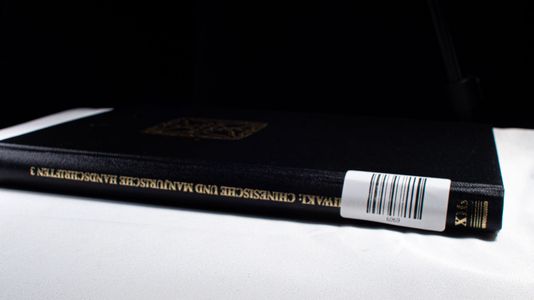 Chinesische und mandjurische Handschriften und seltene Drucke
