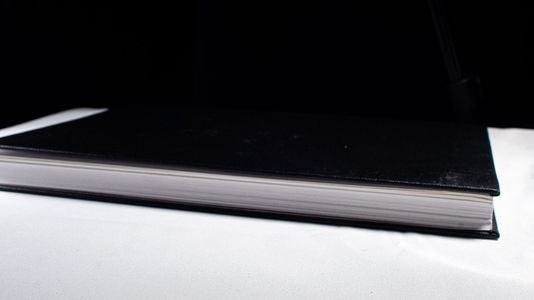 Chinesische und mandjurische Handschriften und seltene Drucke