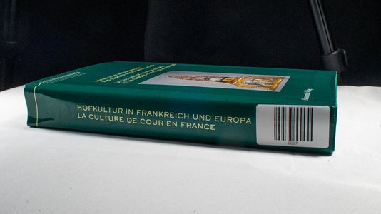 Hofkultur in Frankreich und Europa im Spätmittelalter