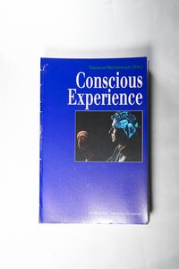 Conscious Experience Conscious Experience