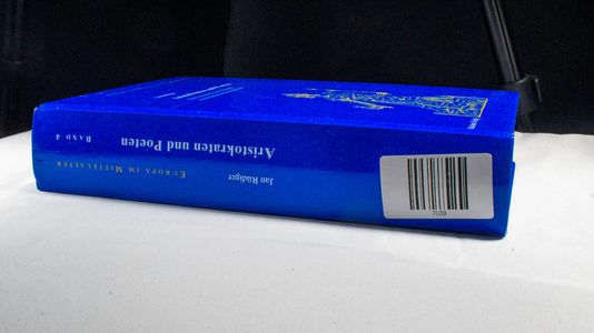 Aristokraten und Poeten Die Grammatik einer Mentalität im tolosanischen Hochmittelalter - Rüdiger, Jan