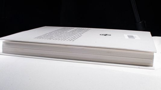 Praxis und Theorie der Neuen Chinesischen Akupunktur, Bd.5, Akupunktur