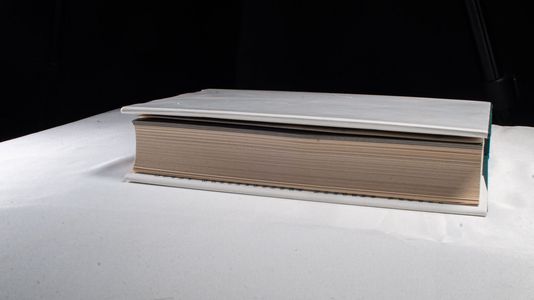 Steuerberater-Jahrbuch