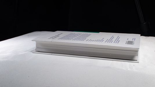 Portraits homöopathischer Arzneimittel, Band 2: Zur Psychosomatik ausgewählter Konstitutionstypen