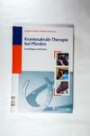 Kraniosakrale Therapie bei Pferden: Grundlagen und