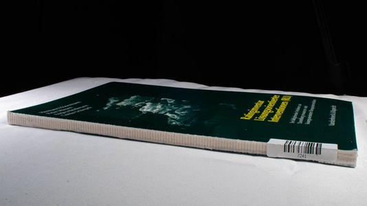 Ratinginventar Lösungsorientierter Interventionen (RLI)