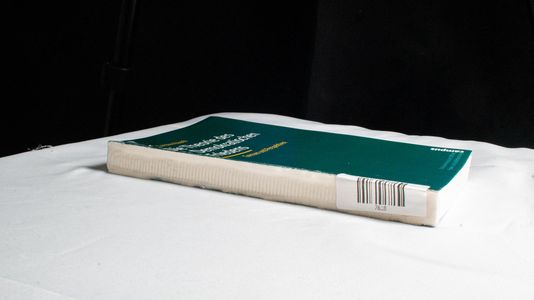 Die Theorie des Demokratischen Friedens - Rauch, Carsten Die Theorie des Demokratischen Friedens - Rauch, Carsten