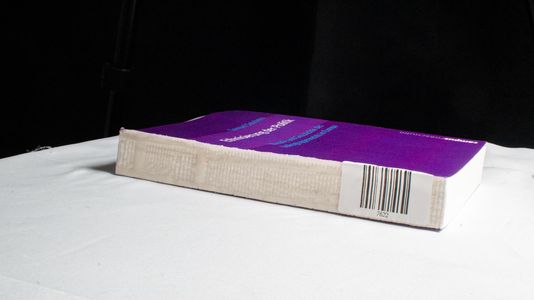 Ethnisierung der Politik - Samuel Salzborn Ethnisierung der Politik - Samuel Salzborn