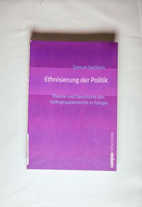 Ethnisierung der Politik - Samuel Salzborn