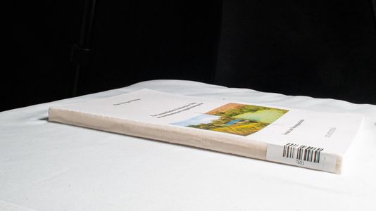 Zur neuzeitlichen Nutzung der Sölle im norddeutschen Jungmoränengebiet: Versuch der Nutzungsgeschichte Zur neuzeitlichen Nutzung der Sölle im norddeutschen Jungmoränengebiet: Versuch der Nutzungsgeschichte