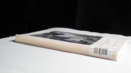 Der Lykische Sarkophag aus Sidon. - Schmidt-Dounas, Barbara Der Lykische Sarkophag aus Sidon. - Schmidt-Dounas, Barbara