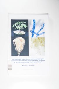 Contribution of arbuscular mycorrhizal fungi to the acquisition of nutrients in higher plants Contribution of arbuscular mycorrhizal fungi to the acquisition of nutrients in higher plants