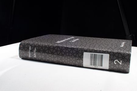 Wilhelm Worringer: Schriften in 2 Bänden. Mit CD-ROM - Böhringer, Hannes, Beate Söntgen und Helga Grebing