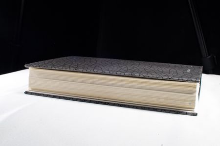 Wilhelm Worringer: Schriften in 2 Bänden. Mit CD-ROM - Böhringer, Hannes, Beate Söntgen und Helga Grebing