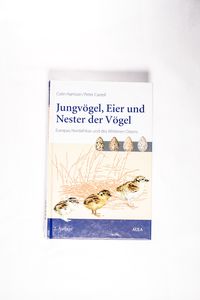 Jungvögel, Eier und Nester der Vögel