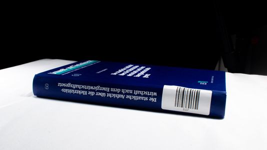 Die staatliche Aufsicht über die Elektrizitätswirtschaft nach dem Energiewirtschaftsgesetz