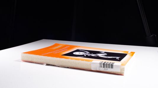 Die Entwicklung von Körperbewusstsein als Bildungsaufgabe
