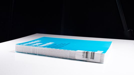 Sprachenplanung in der internen Kommunikation internationaler Unternehmen: Studien zur Umstellung der Unternehmenssprache auf das Englische - Vollstedt, Maria