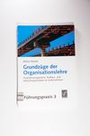 Grundzüge der Organisationslehre: Projektmanageme