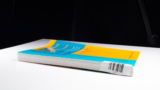 Öffentliches Dienstrecht im Zeichen des New-public-Management : staatsrechtliche Fixpunkte für die Flexibilisierung und Dynamisierung des Beamtenverhältnisses. - Richli, Paul
