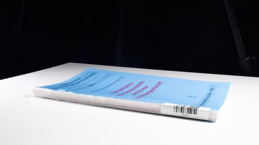 Das Verhältnis von Revisionsstelle und Revisor zur Aktiengesellschaft