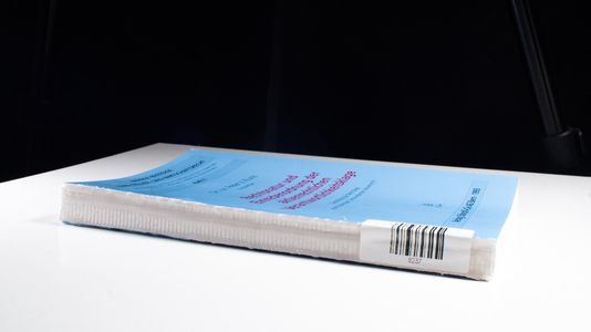 Rechtsnatur und Einredenordnung der aktienrechtlichen Verantwortlichkeitsklage