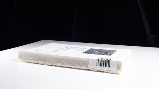 Tradition und Moderne - Religion, Philosophie und Literatur in China: Referate der 7. Jahrestagung 1996 der Deutschen Vereinigung für Chinastudien (DVCS)