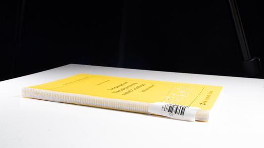 Anregungen zur Therapiegestaltung nach SI-Grundlagen (Praxis Ergotherapie) - Biedermann, Katja