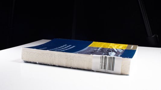 Internet-Marketing in lateinamerikanischen Exportunternehmen - Merlin, Bettina