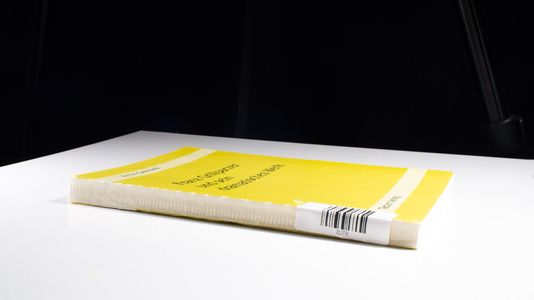 Franz Grillparzer und sein dramatisches Werk