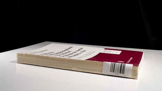 Politische Ordnungskonzeptionen in der attischen Demokratie des vierten Jahrhunderts v. Chr.